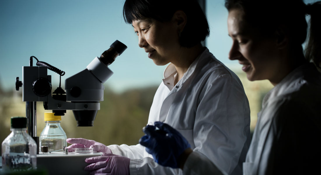 Biotech Research and Innovation Centre